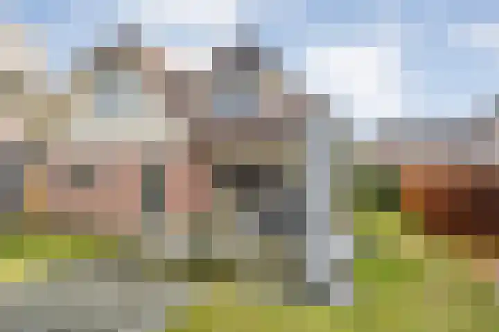 De Rietgans 16 Dedemsvaart thumbnail 45