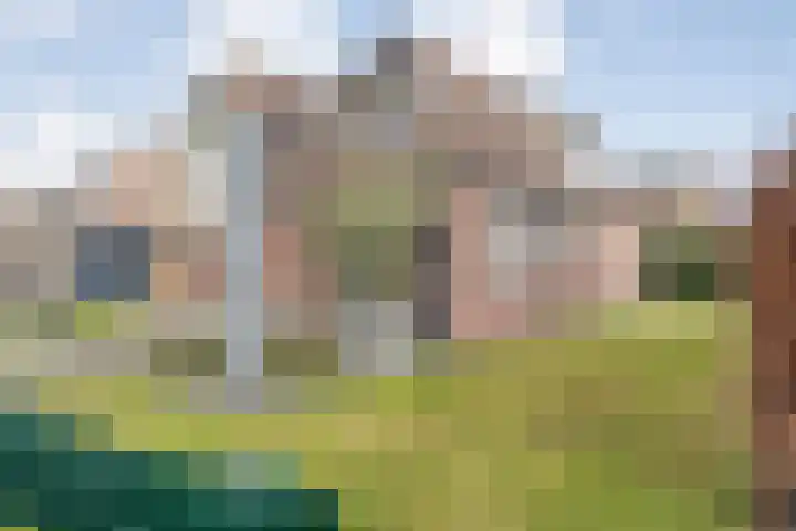 De Rietgans 16 Dedemsvaart thumbnail 46