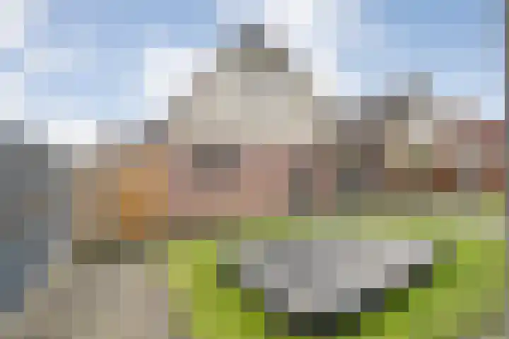 De Rietgans 16 Dedemsvaart thumbnail 47