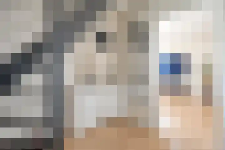 De Rietgans 16 Dedemsvaart thumbnail 5