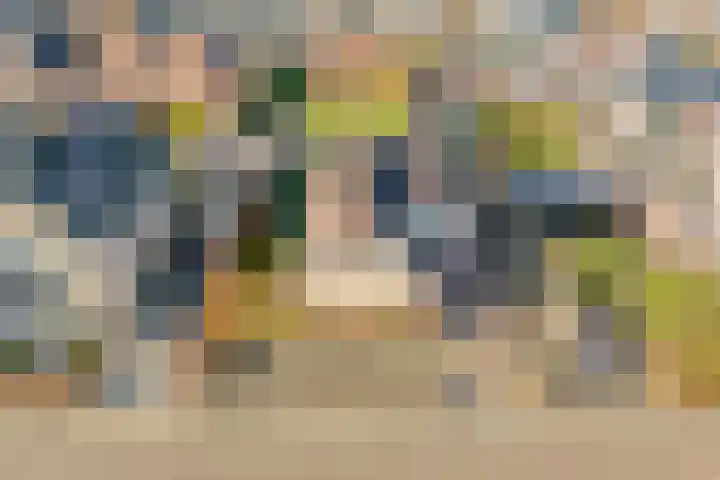 De Rietgans 16 Dedemsvaart thumbnail 50