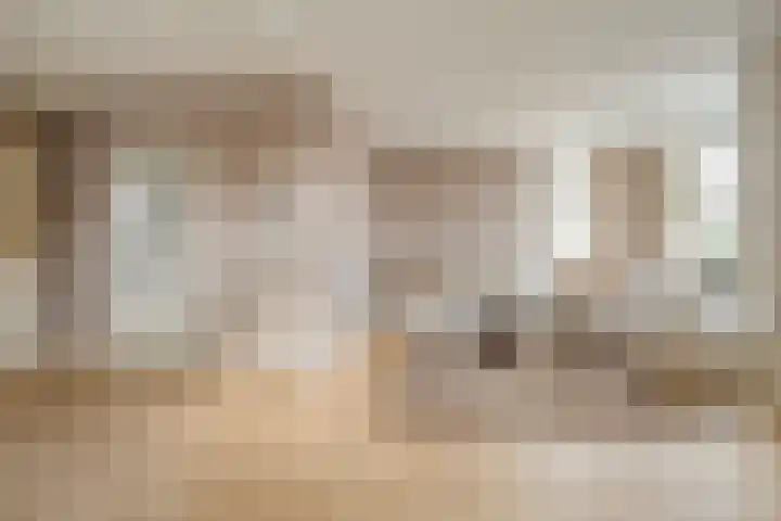 De Rietgans 16 Dedemsvaart thumbnail 8