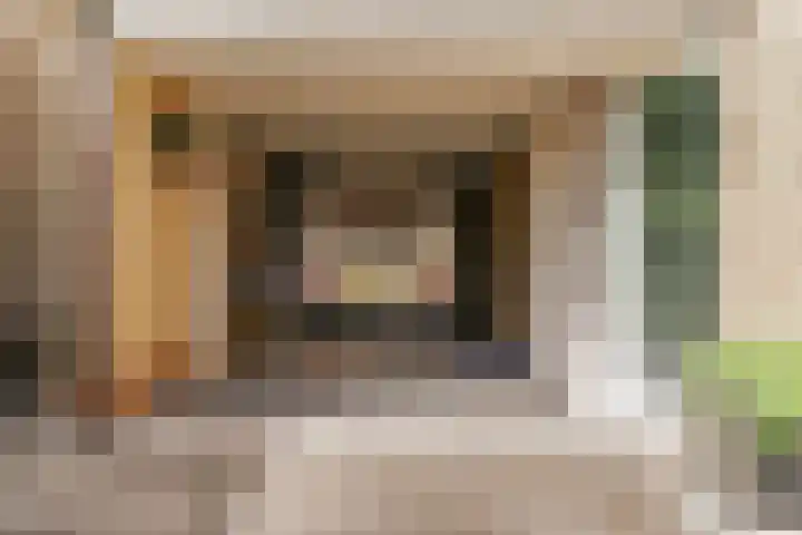 De Rietvink 11 Heiloo thumbnail 11