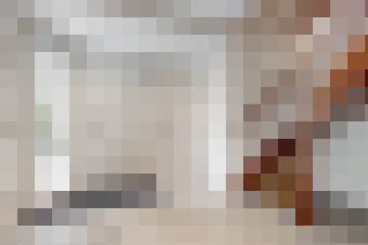 De Rietvink 11 Heiloo thumbnail 12