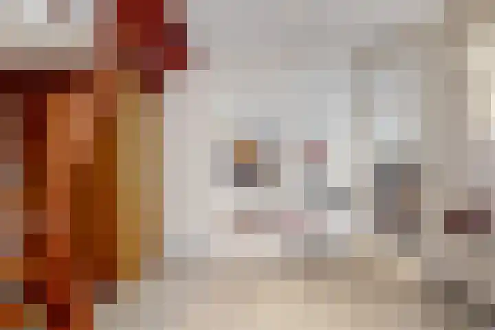 De Rietvink 11 Heiloo thumbnail 14