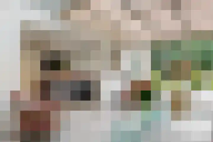 De Rietvink 11 Heiloo thumbnail 22