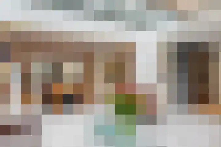 De Rietvink 11 Heiloo thumbnail 23