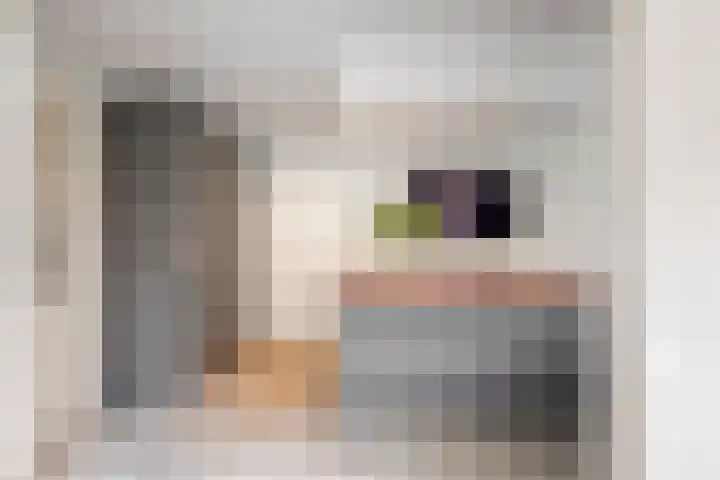 De Rietvink 11 Heiloo thumbnail 26