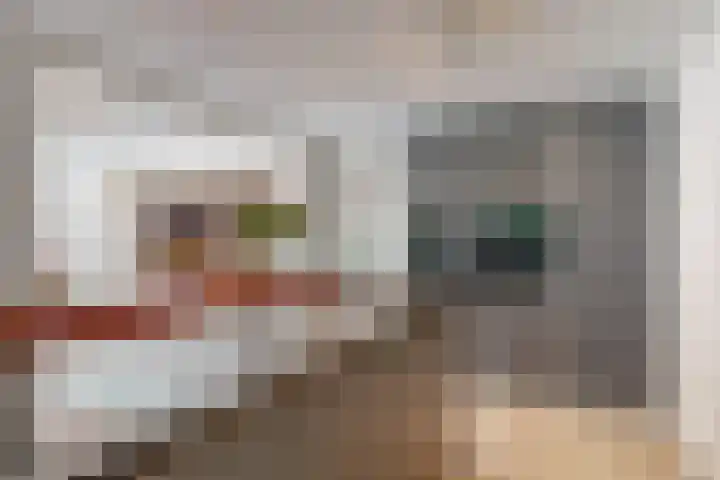De Rietvink 11 Heiloo thumbnail 29
