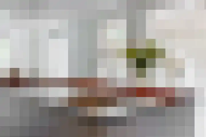 De Rietvink 11 Heiloo thumbnail 31
