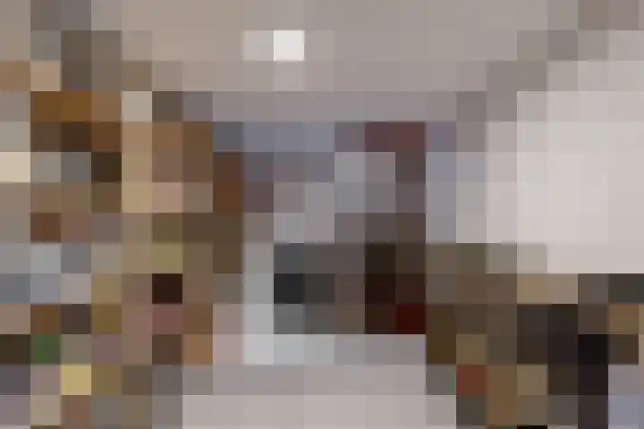 De Rietvink 11 Heiloo thumbnail 35