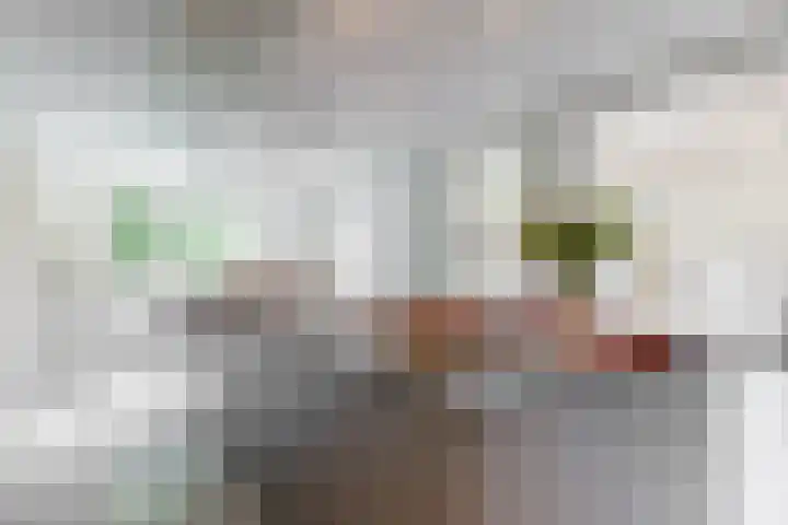 De Rietvink 11 Heiloo thumbnail 4