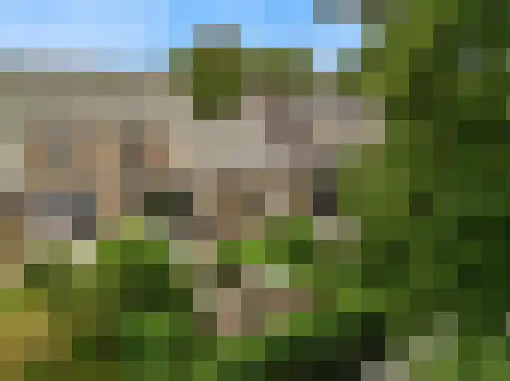 De Rietvink 11 Heiloo thumbnail 6