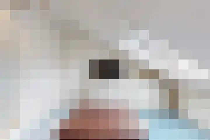 De Rietvink 11 Heiloo thumbnail 62