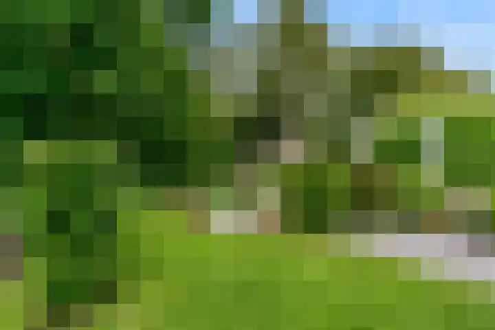 De Rietvink 11 Heiloo thumbnail 67