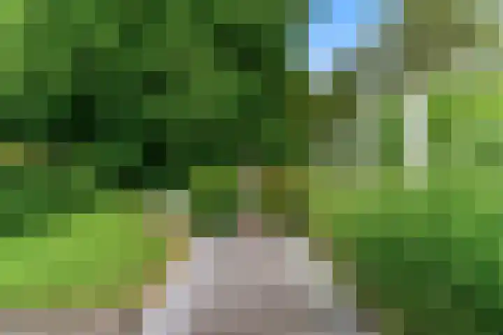 De Rietvink 11 Heiloo thumbnail 68