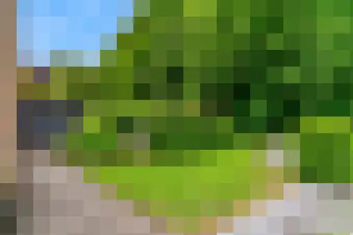 De Rietvink 11 Heiloo thumbnail 69
