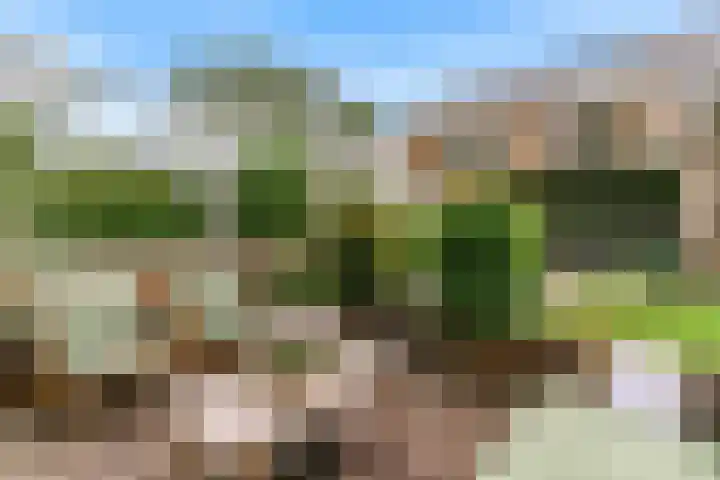 De Rietvink 11 Heiloo thumbnail 71