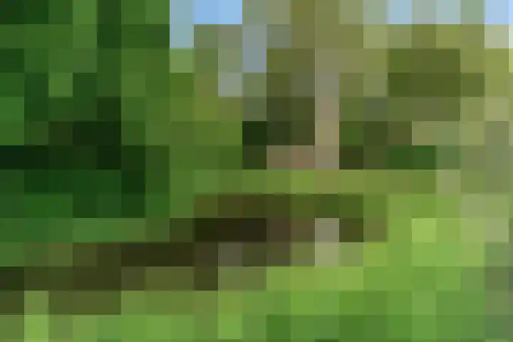 De Rietvink 11 Heiloo thumbnail 72
