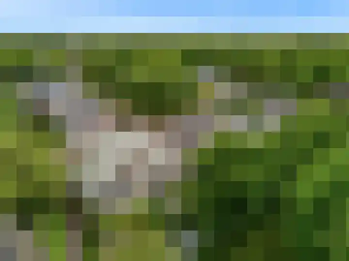 De Rietvink 11 Heiloo thumbnail 74