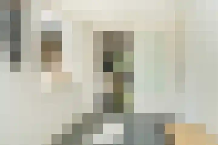 De Rijf 7 Berlicum thumbnail 17
