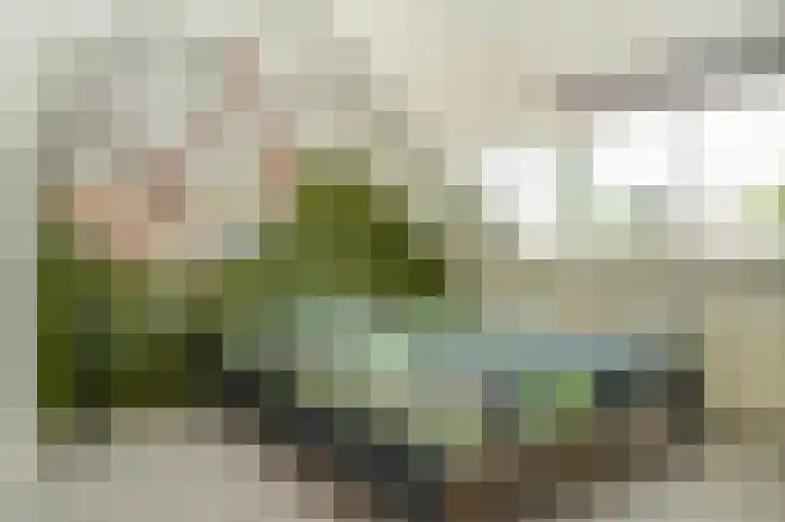 De Rijf 7 Berlicum thumbnail 28