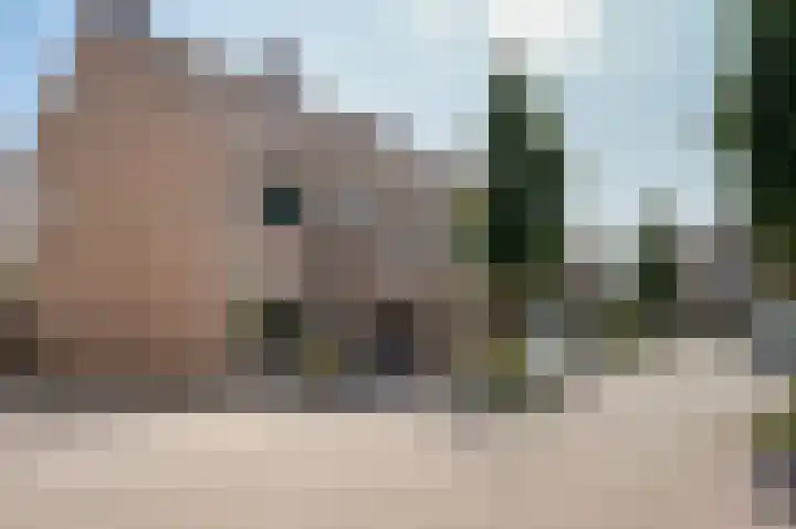 De Rijf 7 Berlicum thumbnail 45
