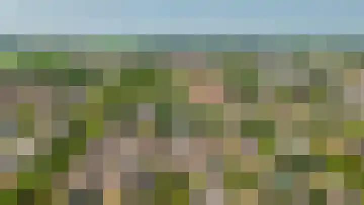 De Rijf 7 Berlicum thumbnail 49