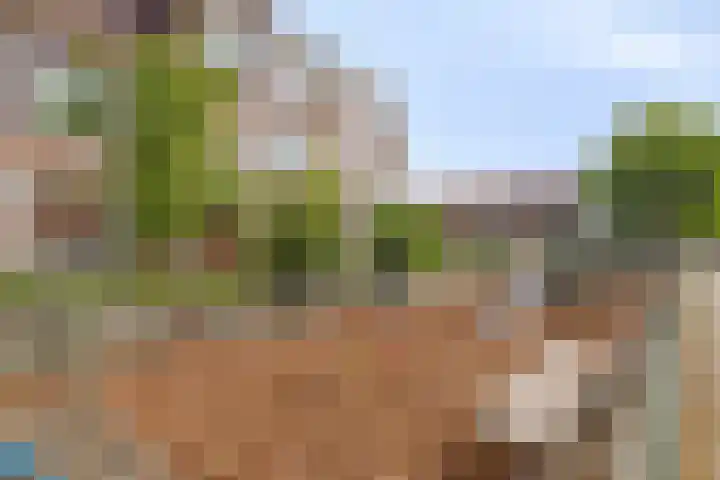 De Rijpstraat 3 Arnhem thumbnail 21