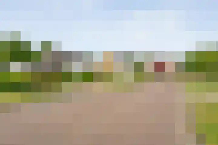 De Rikken 28 Vledder thumbnail 10