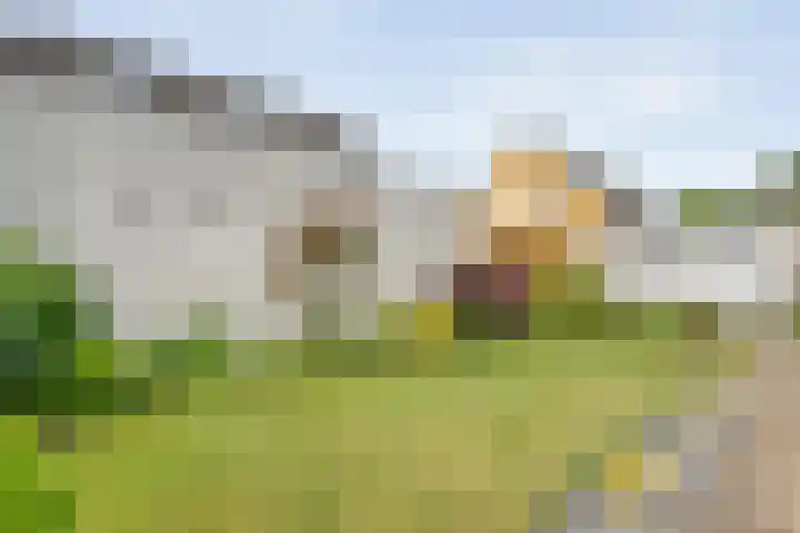 De Rikken 28 Vledder thumbnail 13