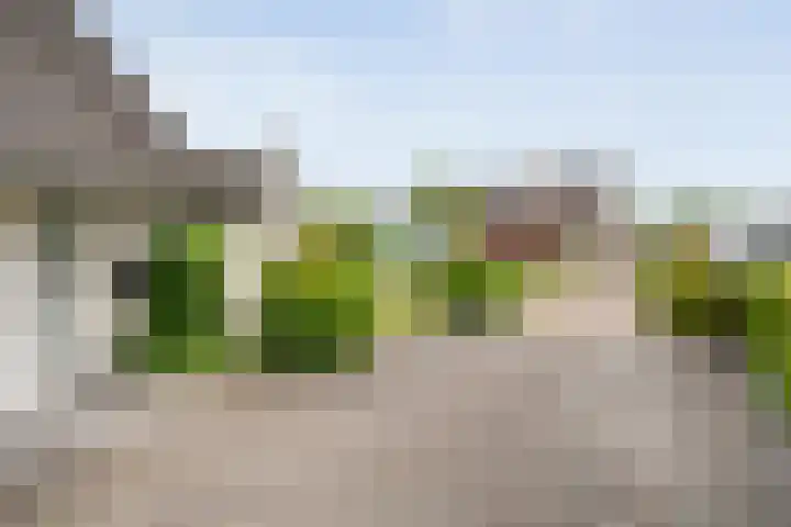 De Rikken 28 Vledder thumbnail 14