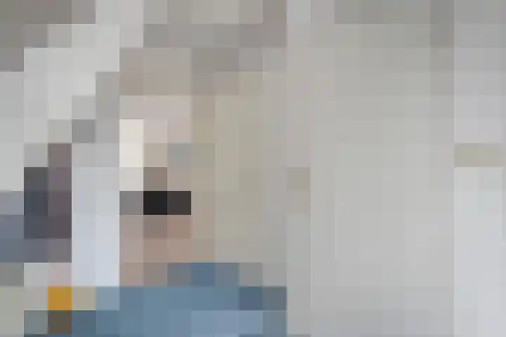 De Rikken 28 Vledder thumbnail 16