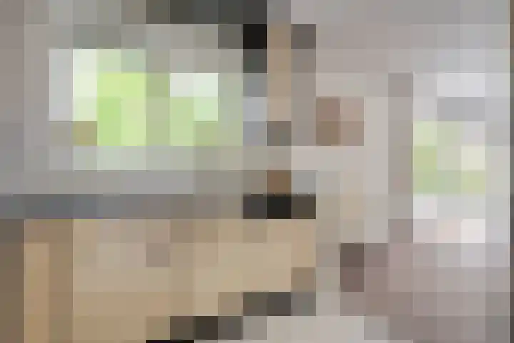 De Rikken 28 Vledder thumbnail 20
