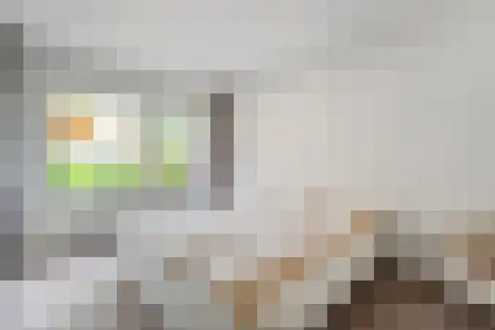 De Rikken 28 Vledder thumbnail 24