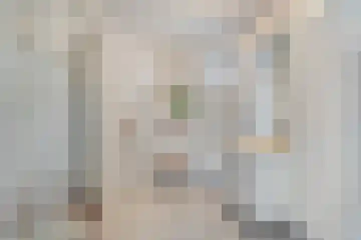 De Rikken 28 Vledder thumbnail 26
