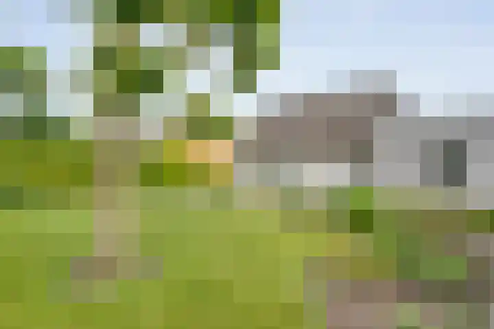 De Rikken 28 Vledder thumbnail 35