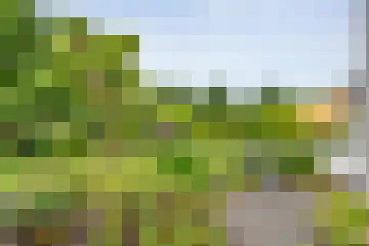 De Rikken 28 Vledder thumbnail 36