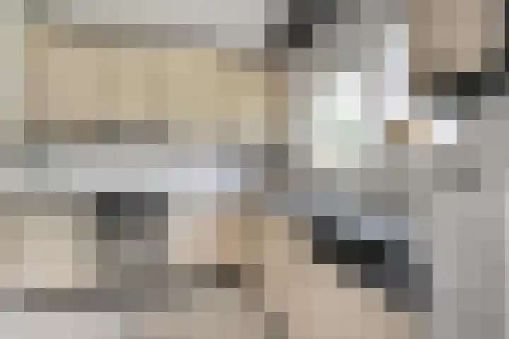 De Rikken 28 Vledder thumbnail 4