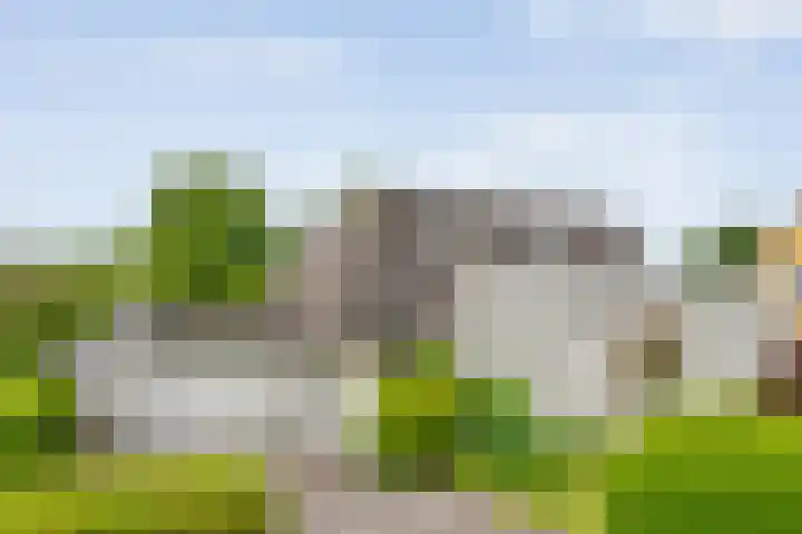 De Rikken 28 Vledder thumbnail 40
