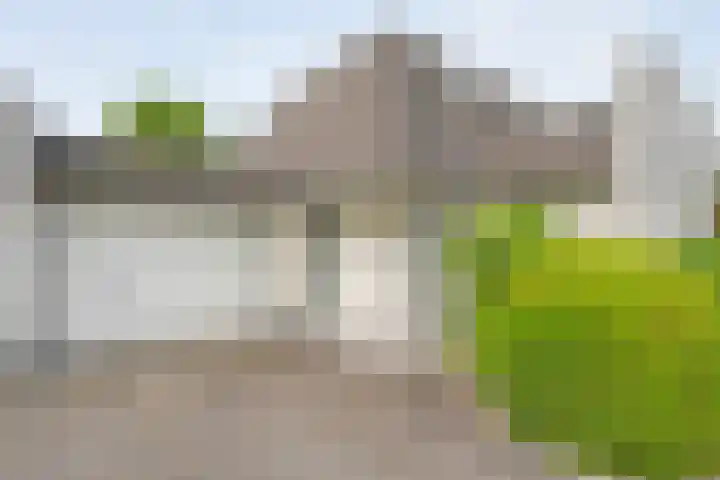 De Rikken 28 Vledder thumbnail 6