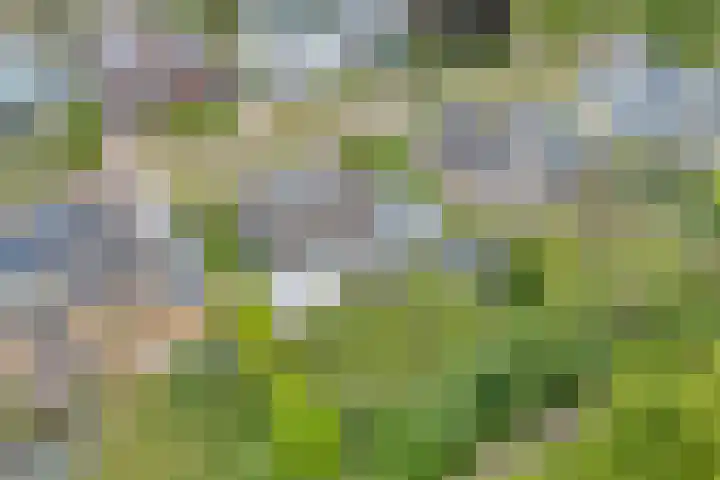 De Rikken 28 Vledder thumbnail 9
