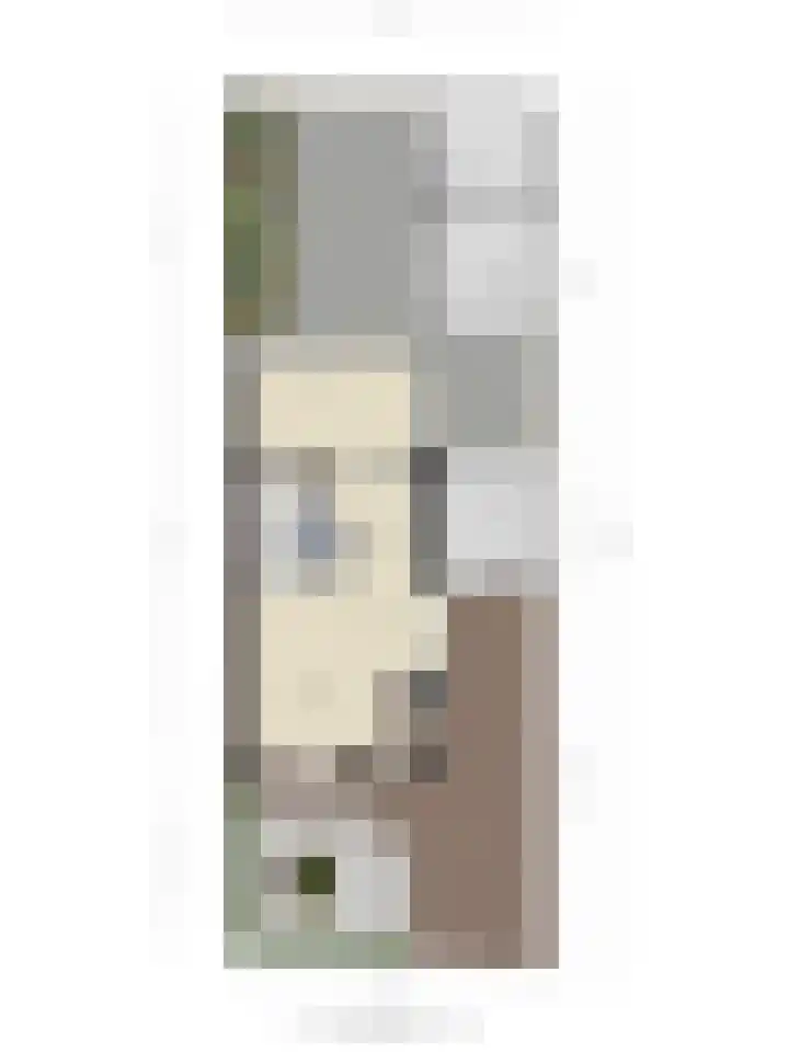 de Ring 31 Leutingewolde