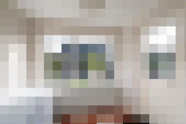 De Ring 40 Wekerom thumbnail 15