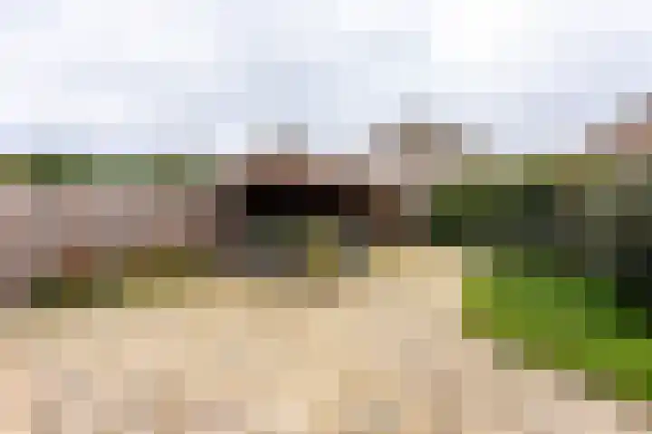 De Ringel 17 Groesbeek thumbnail 39