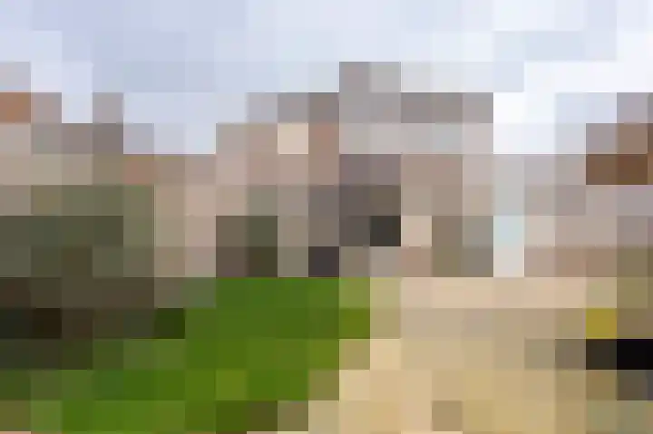 De Ringel 17 Groesbeek thumbnail 43