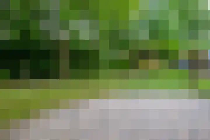 De Rival 26 Drachten thumbnail 18