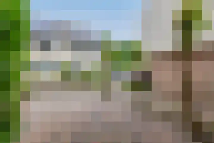 De Rival 26 Drachten thumbnail 36