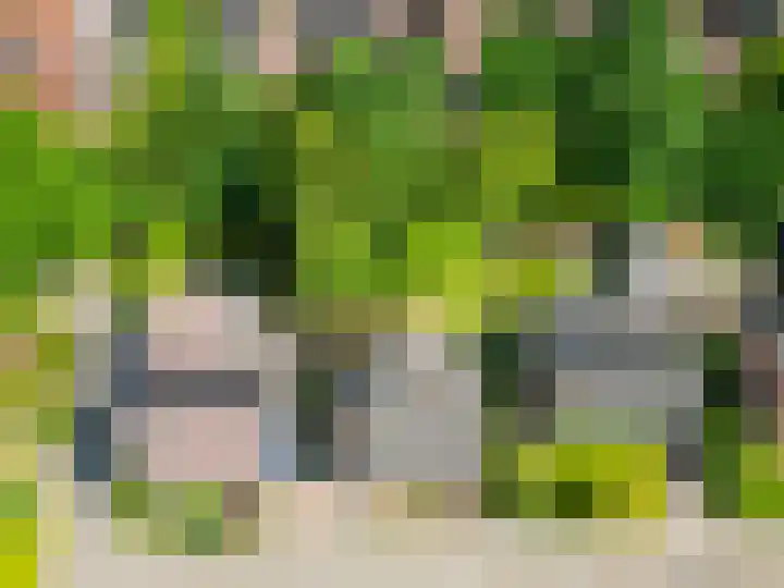 De Rival 26 Drachten thumbnail 39