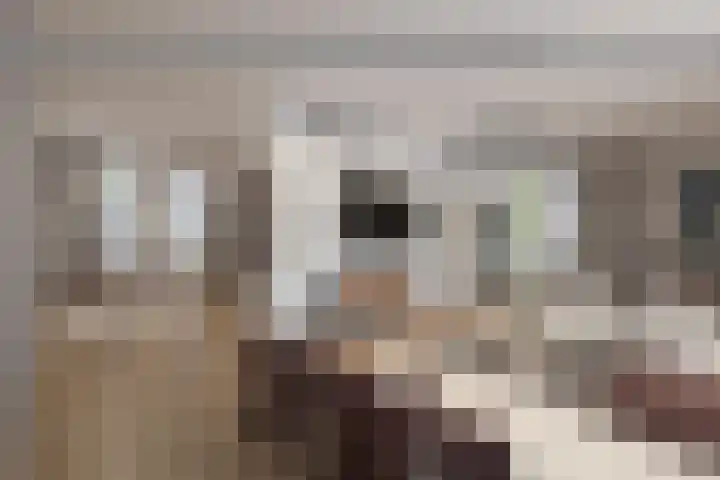 De Rival 26 Drachten thumbnail 4